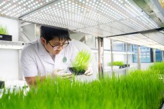 素质上是根本研究和原始立异能力的竞